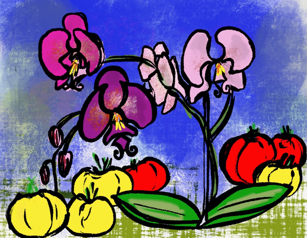 Digital painting of orchids and veggies by sande smith